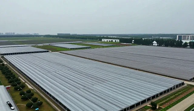 技术咨询在性能优化中的关键作用与适用场景分析